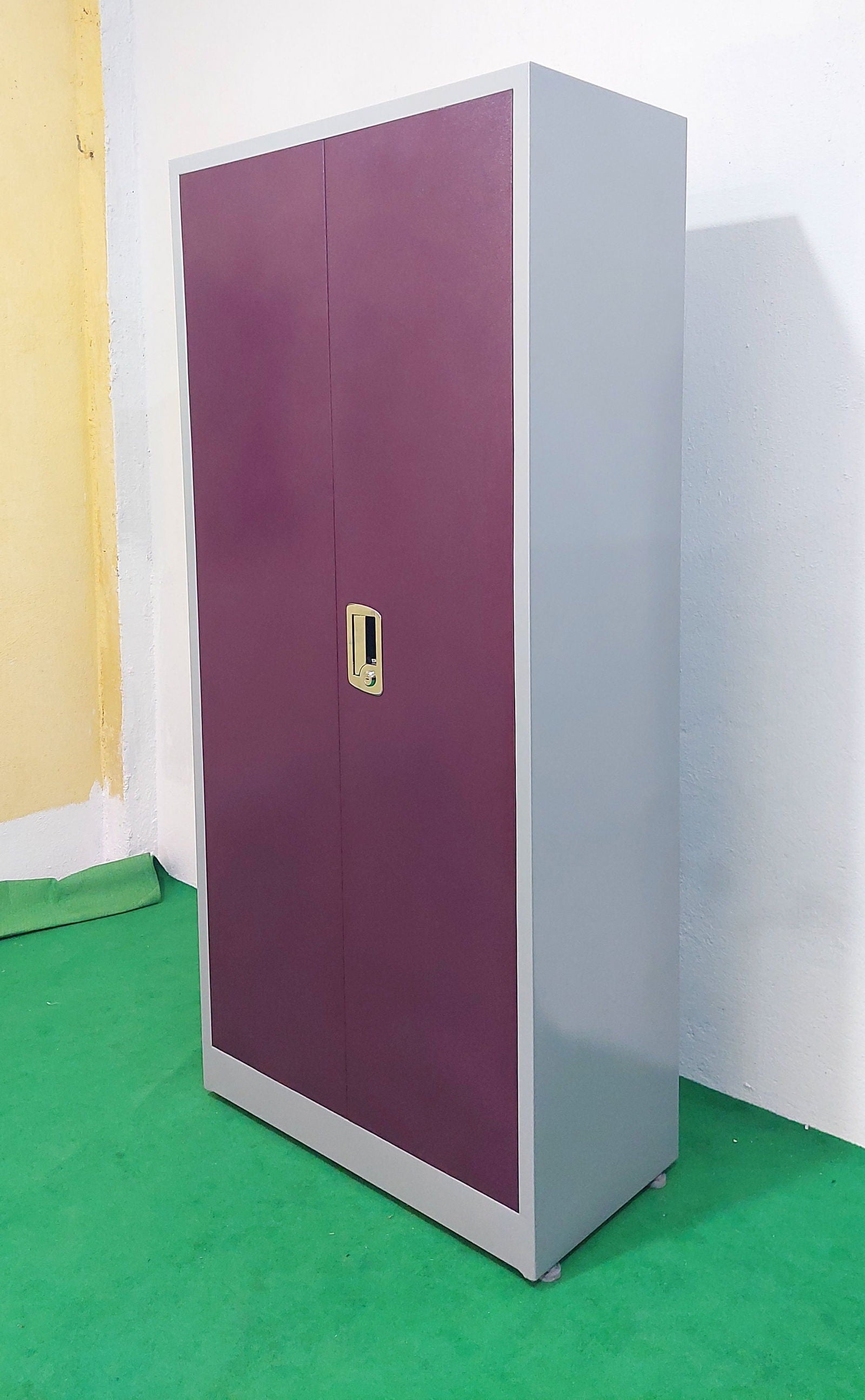 Bowzar 24 Gauge 2 Door Almirah with Maruti Lock Violet Pink - Bowzar - 