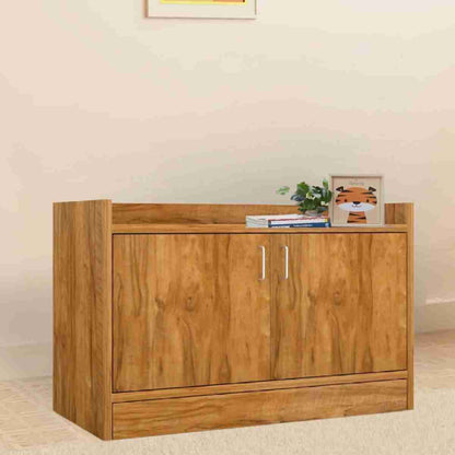 Multipurpose Cabinet Shoe Box L30XH19X15 Inch