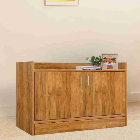 Multipurpose Cabinet Shoe Box L30XH19X15 Inch